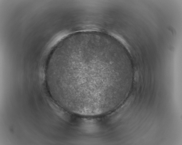 X0000113891407200910081758