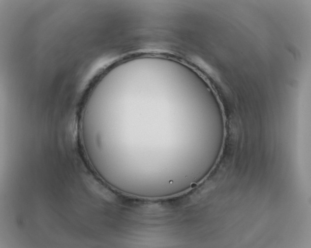 X0000113891408200910081758