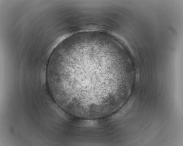 X0000113891409200910081758