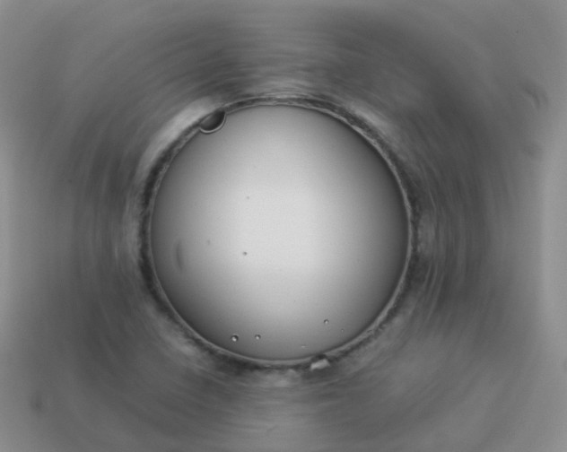 X0000113891410200910081758