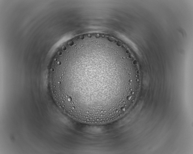 X0000113891411200910081758