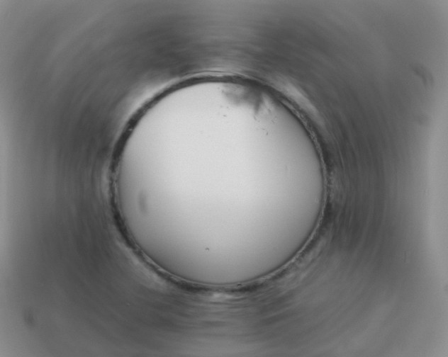 X0000113891412200910081758