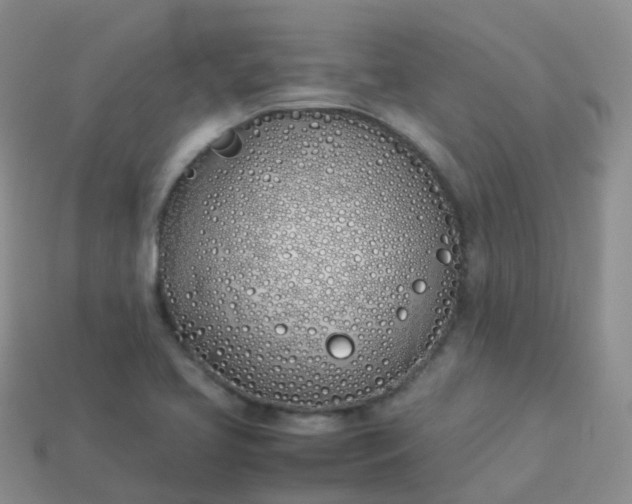 X0000113891413200910081758