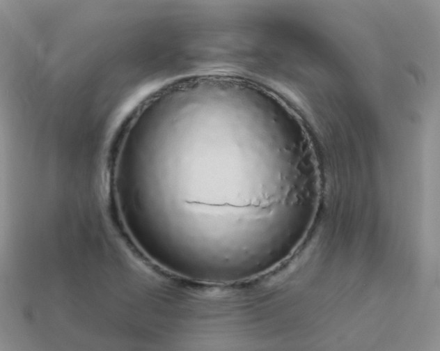 X0000113891414200910081758