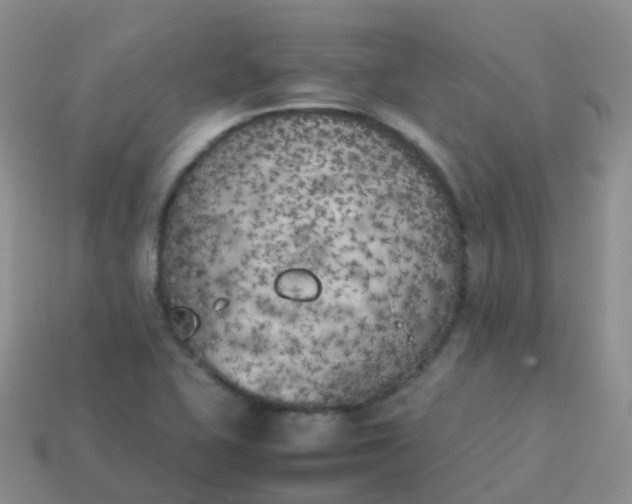 X0000113891415200910081758