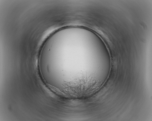 X0000113891416200910081758