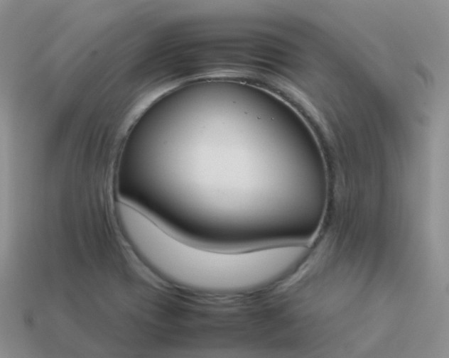 X0000113891417200910081758