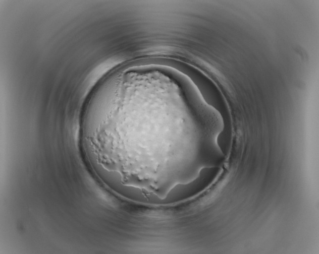 X0000113891418200910081758