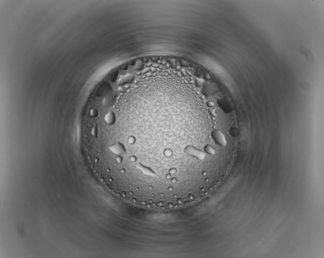 X0000113891419200910081758