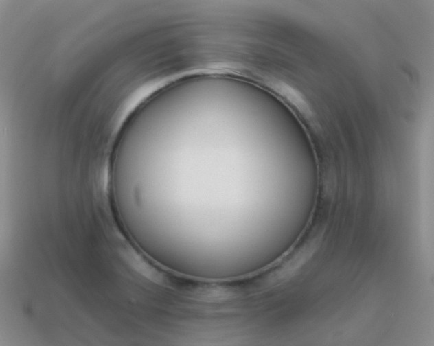 X0000113891420200910081758