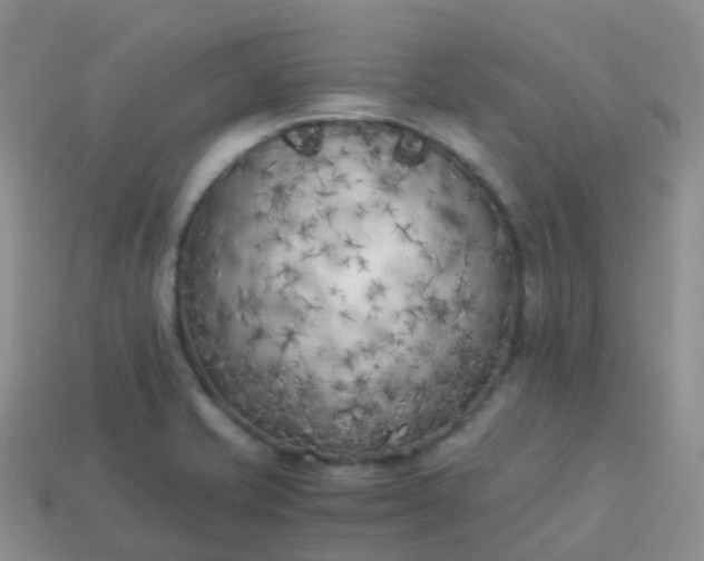 X0000113891421200910081758