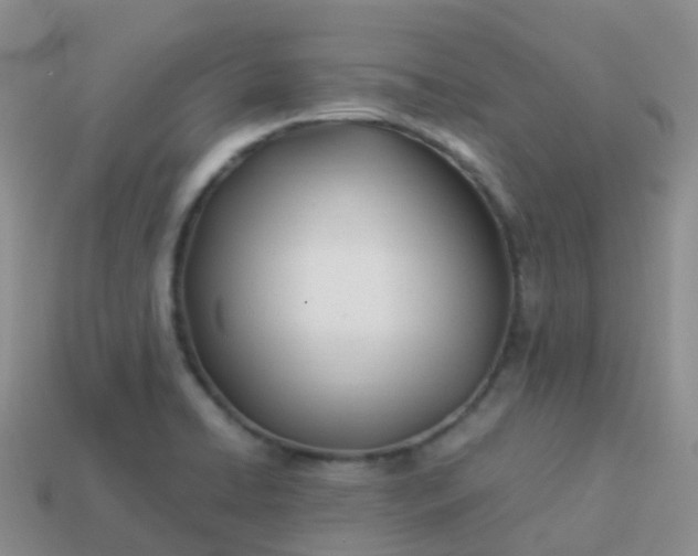 X0000113891422200910081758