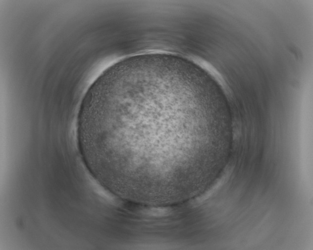 X0000113891423200910081758