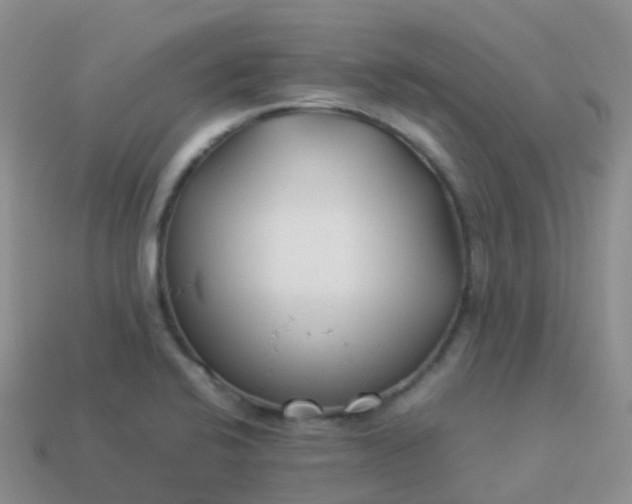 X0000113891424200910081758