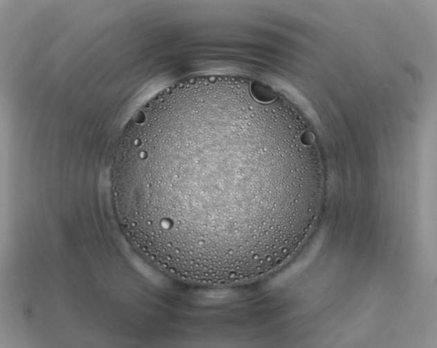 X0000113891425200910081758