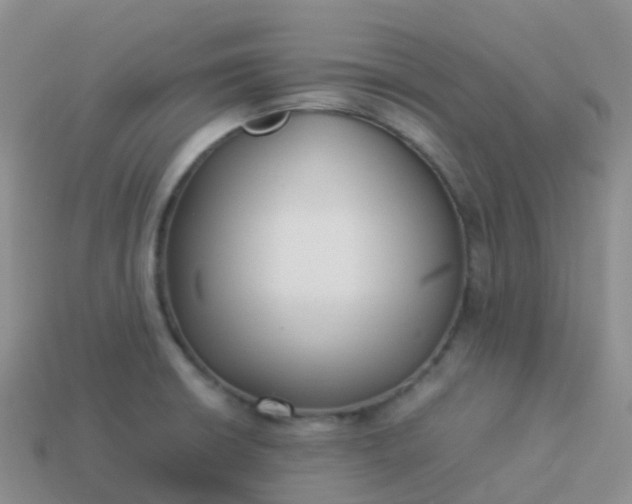 X0000113891426200910081758