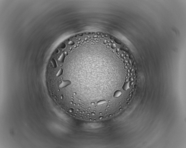 X0000113891427200910081758