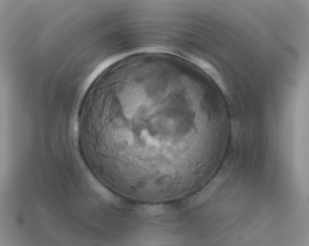 X0000113891428200910081758