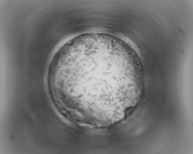 X0000113891429200910081758