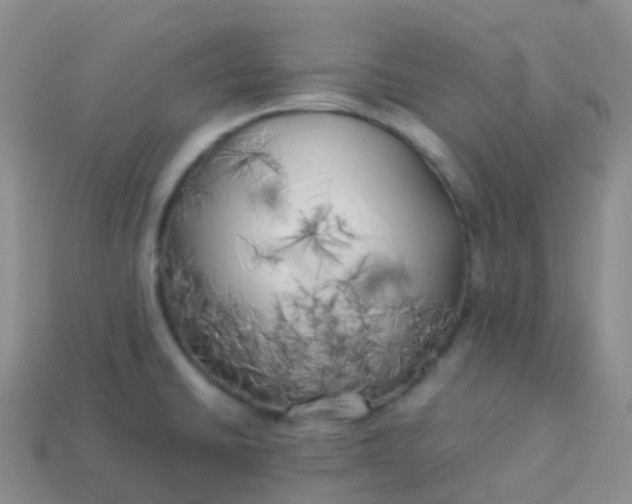 X0000113891430200910081758