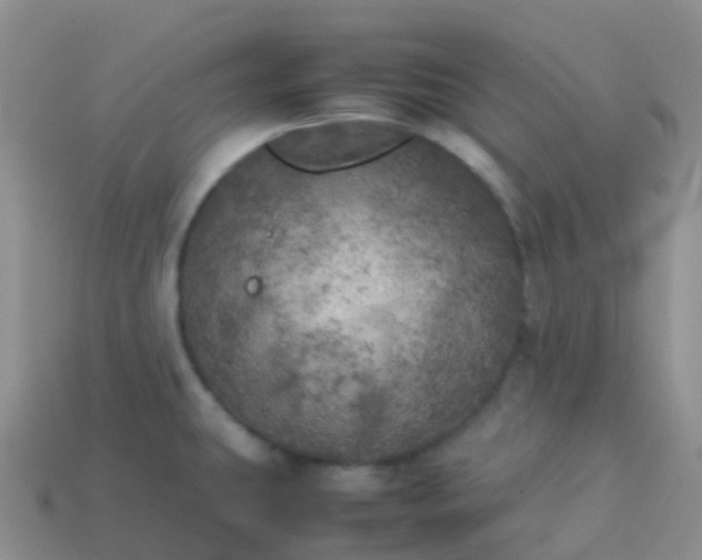 X0000113891431200910081758