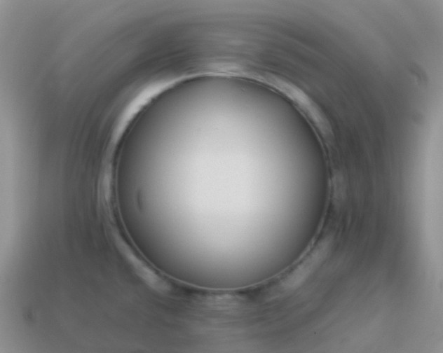 X0000113891432200910081758