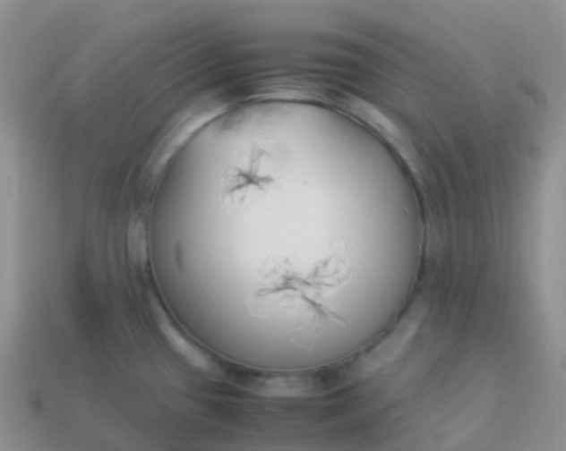 X0000113891433200910081758