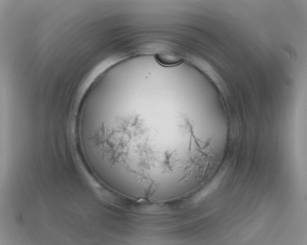 X0000113891434200910081758