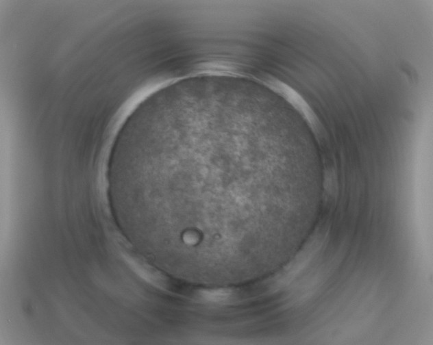 X0000113891435200910081758