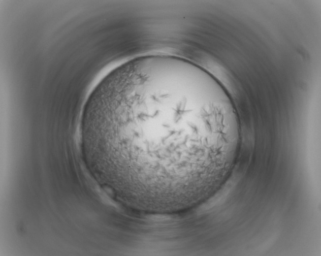 X0000113891436200910081758