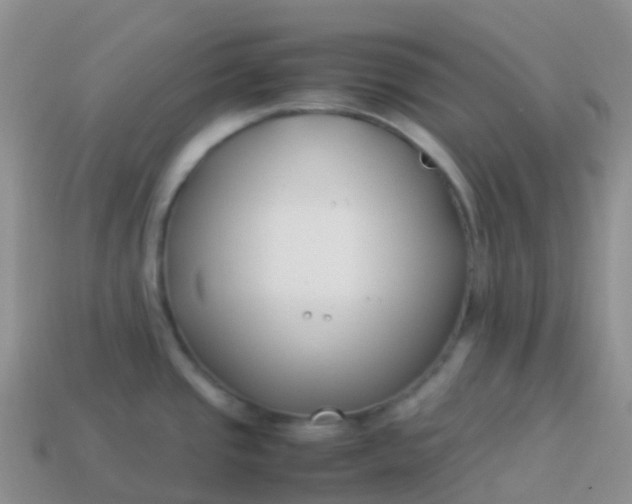 X0000113891437200910081758