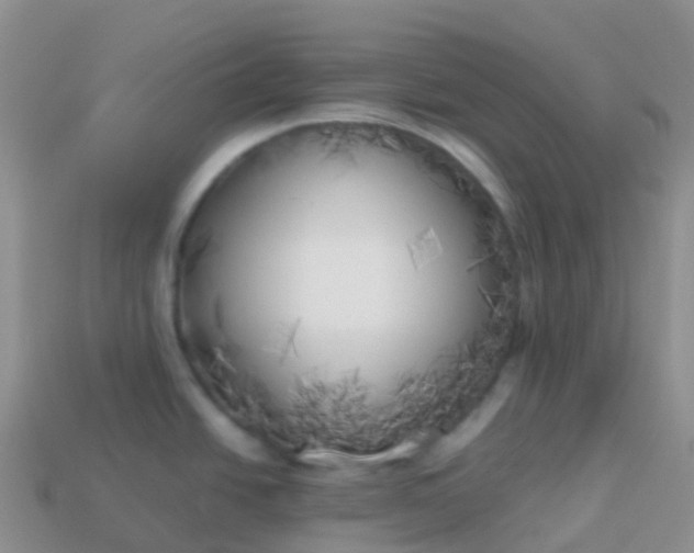 X0000113891438200910081758