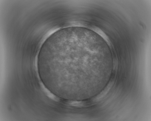 X0000113891439200910081758