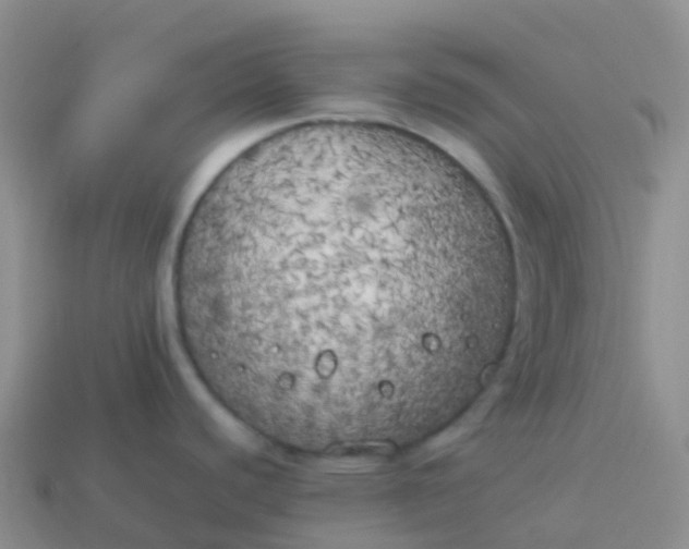 X0000113891440200910081758