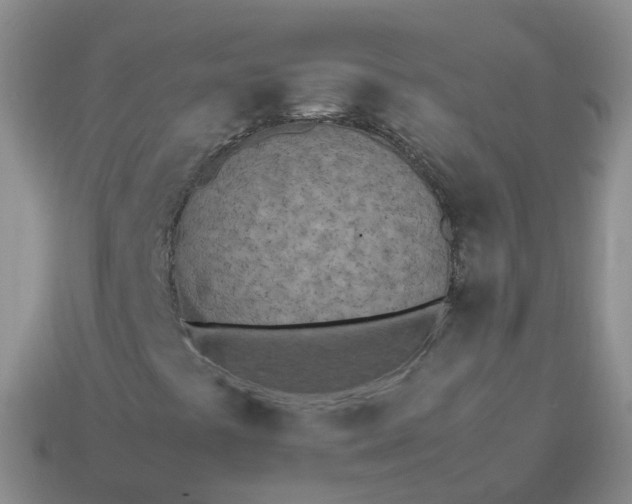 X0000113891441200910081758