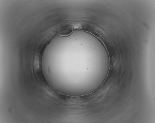 X0000113891442200910081758