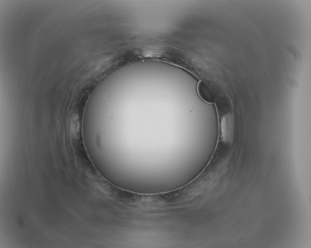 X0000113891443200910081758