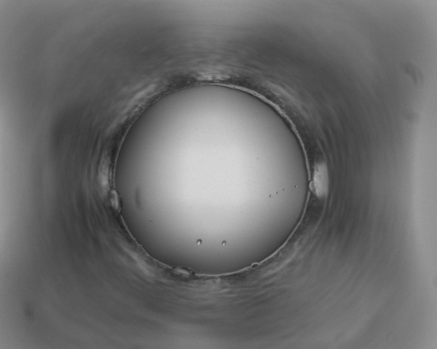 X0000113891444200910081758