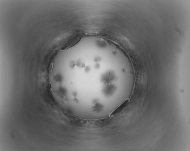 X0000113891445200910081758