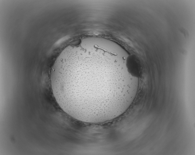 X0000113891446200910081758