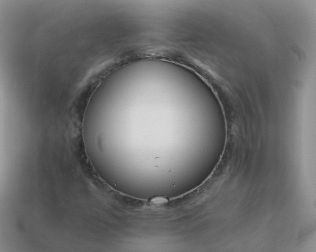 X0000113891447200910081758