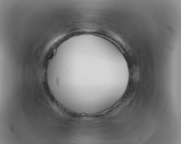 X0000113891448200910081758