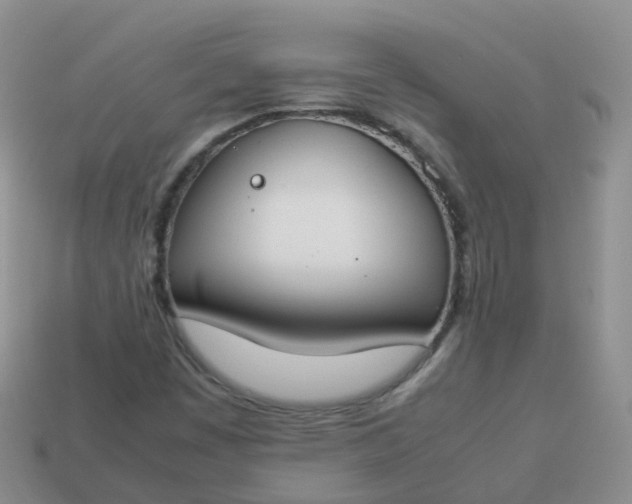 X0000113891449200910081758