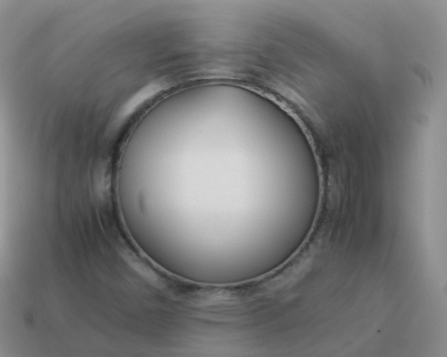 X0000113891450200910081758