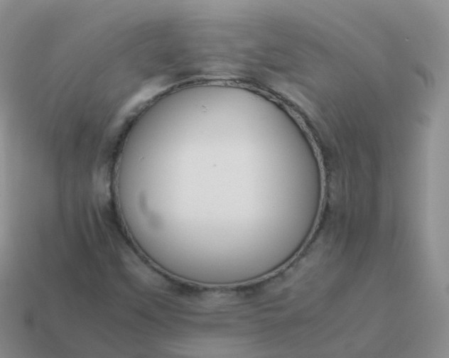 X0000113891451200910081758