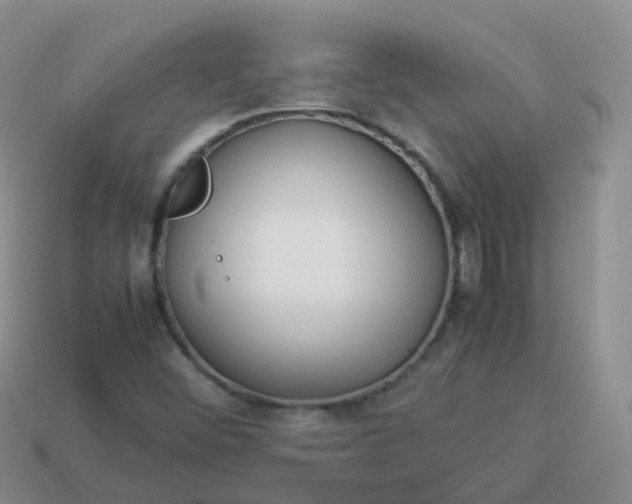 X0000113891452200910081758