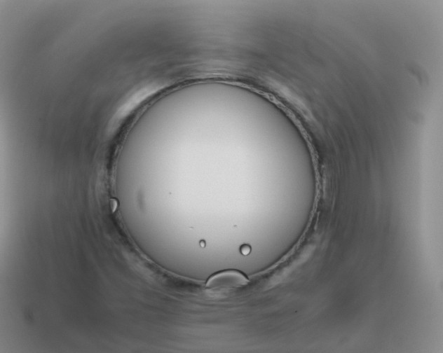 X0000113891453200910081758