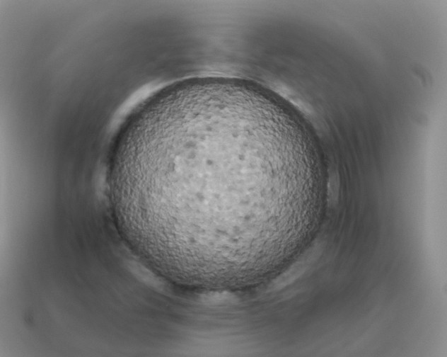 X0000113891454200910081758