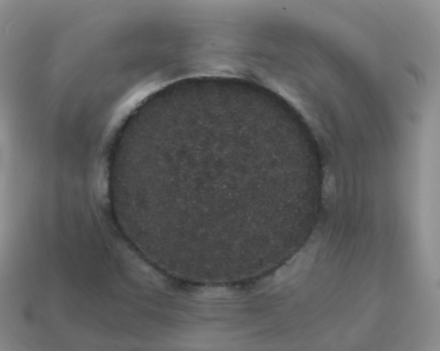 X0000113891455200910081758