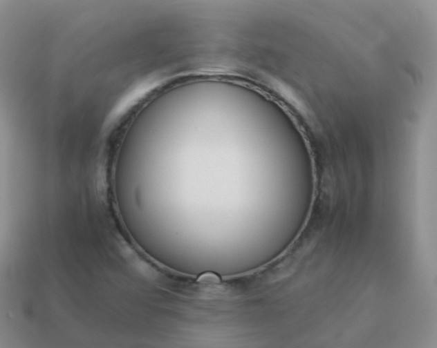 X0000113891456200910081758